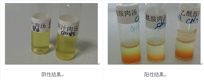 將產(chǎn)熒光的菌落的純培養物接種到乙酰胺肉湯中36℃培養24h，加入鈉氏試劑