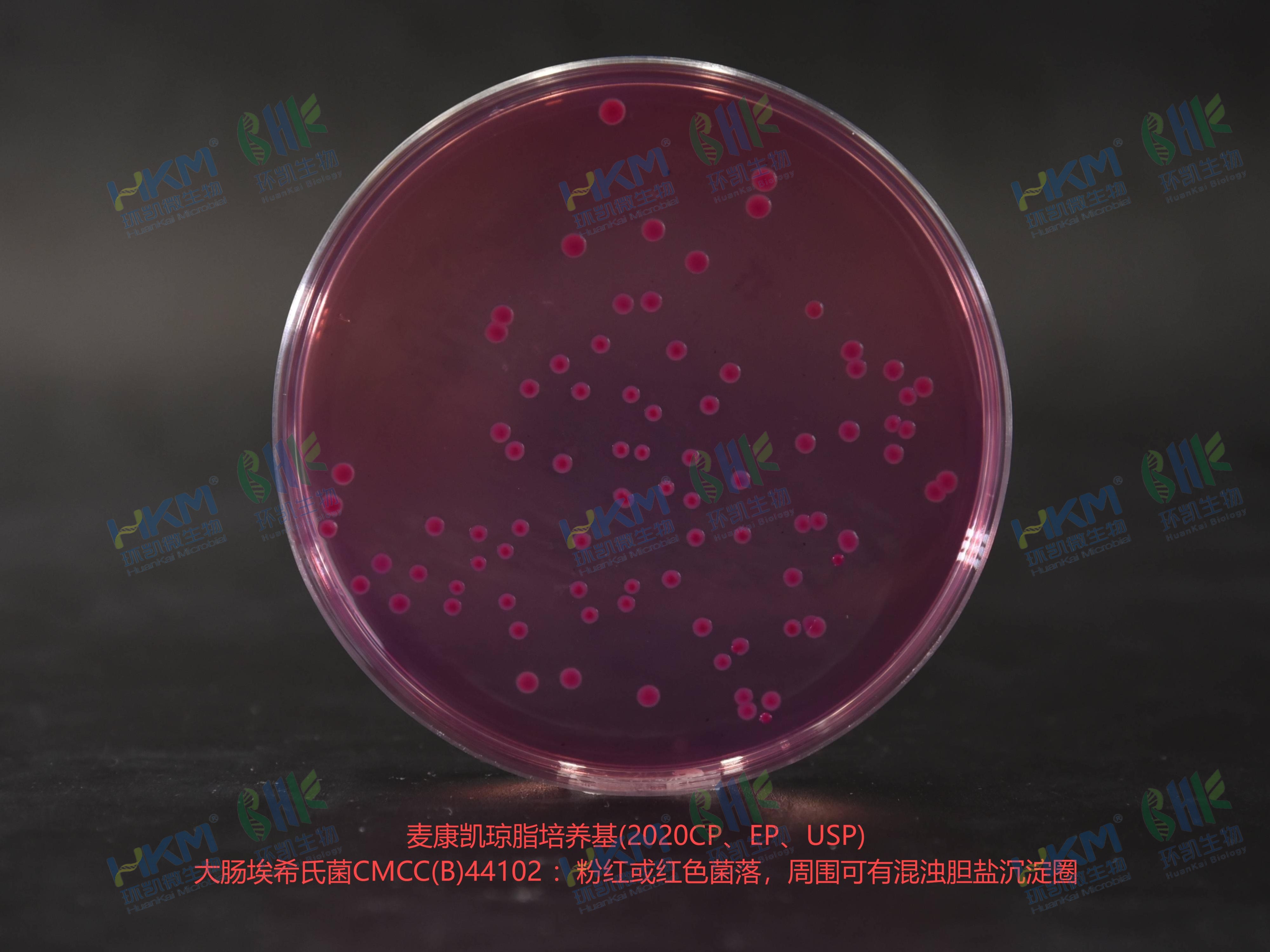 麥康凱瓊脂培養基 乙型副傷寒沙門(mén)氏菌CMCC(B)50094